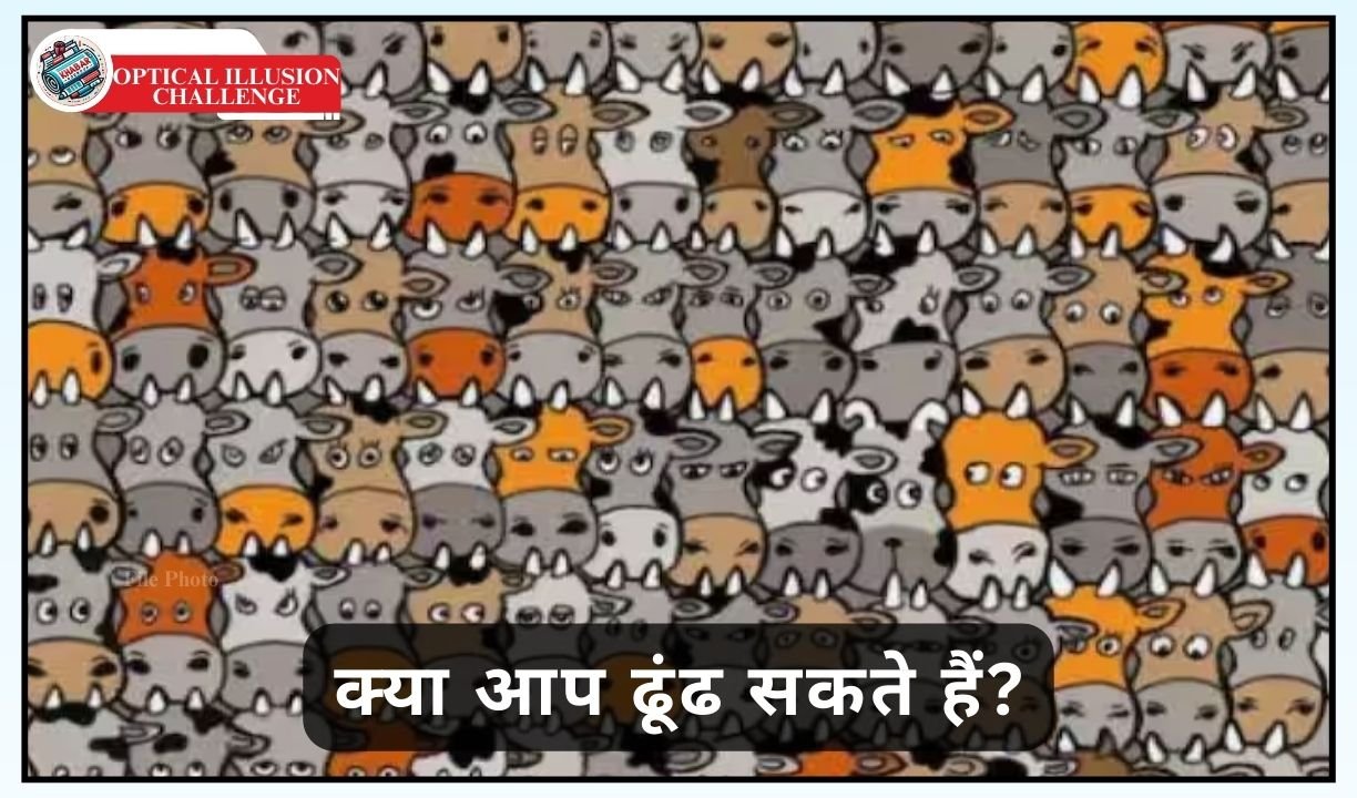 Optical Illusion Challenge: A dog is hidden in a herd of cows, can you find it?