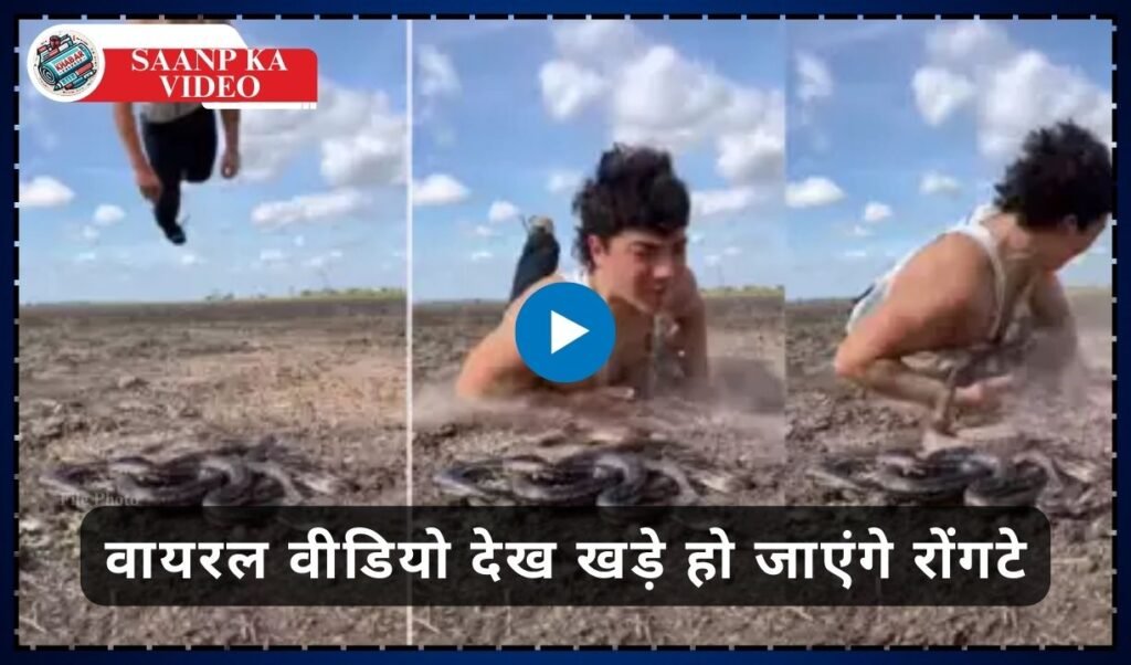 Saanp Ka Video: Passion to jump among snakes! You will get goosebumps after watching the viral video