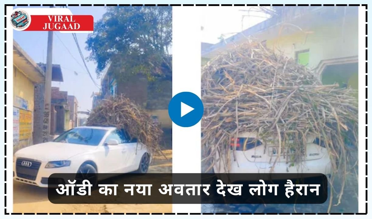 Viral Jugaad: Not luxury, luggage car! A man seen bringing wood from the field