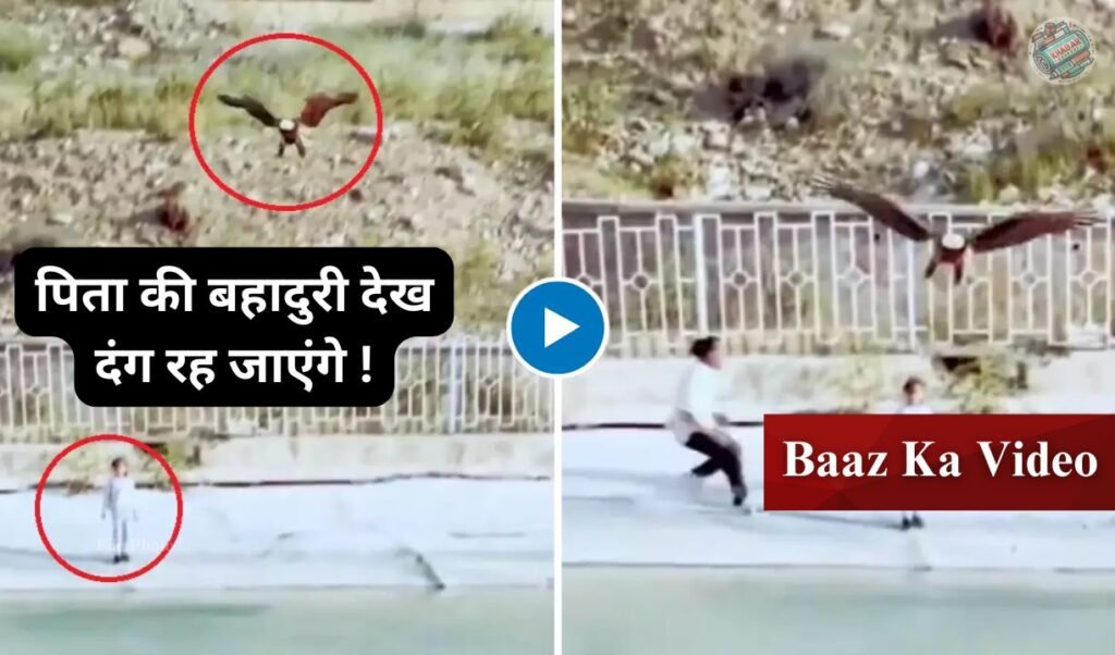 Baaz Ka Video: Viral video of child's life saved from hunter hawk