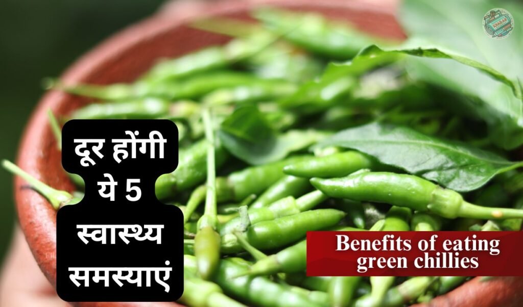 Benefits of eating green chillies: Tremendous benefits of eating 1 green chilli with food daily