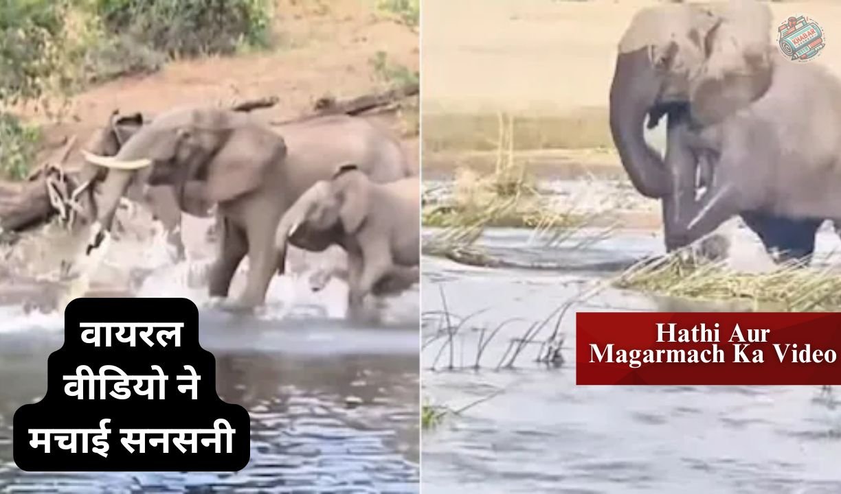 Hathi Aur Crocodile Video: Fierce conflict between elephant and crocodile