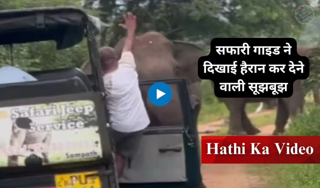 Hathi Ka Video: Angry elephant enraged in the forest: Safari guide showed surprising wisdom