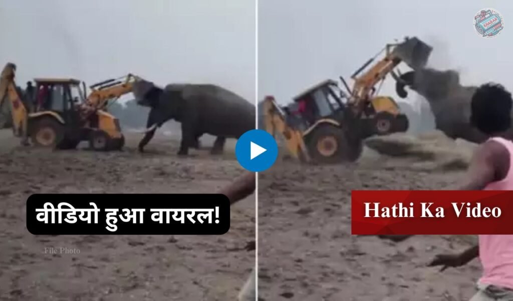 Hathi Ka Video: Angry elephant hits JCB hard