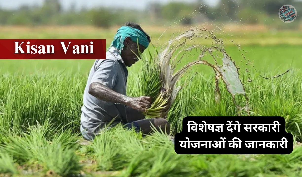 Kisan Vani: 'Kisan Vani' will be organized in Betul on 15th February.