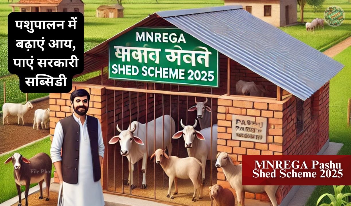 MNREGA Pashu Shed Scheme 2025: Golden opportunity for farmers and cattle rearers