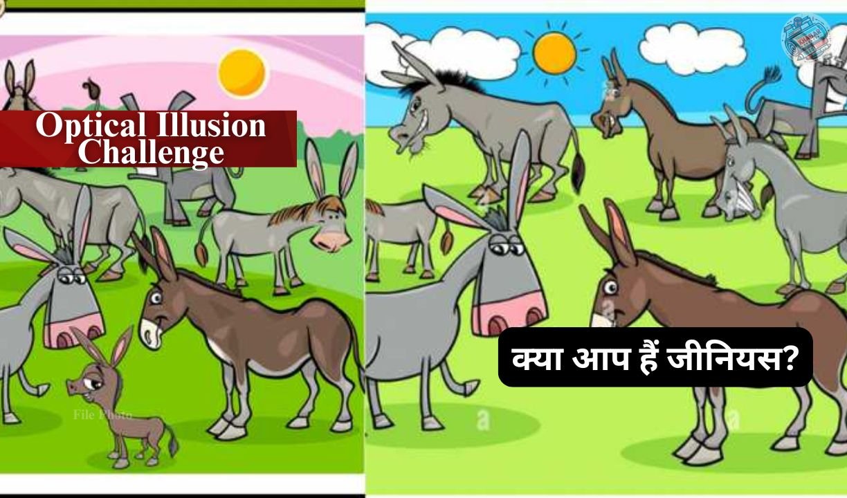 Optical Illusion Challenge: Optical Illusion: Find 6 Differences in 12 Seconds