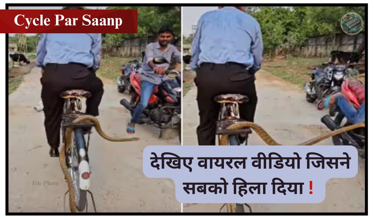 Cycle Par Saanp : पीछे मौत बैठी थी और चाचा मस्त घूम रहे थे! साइकिल के कैरियर में निकला ज़हरीला सांप 