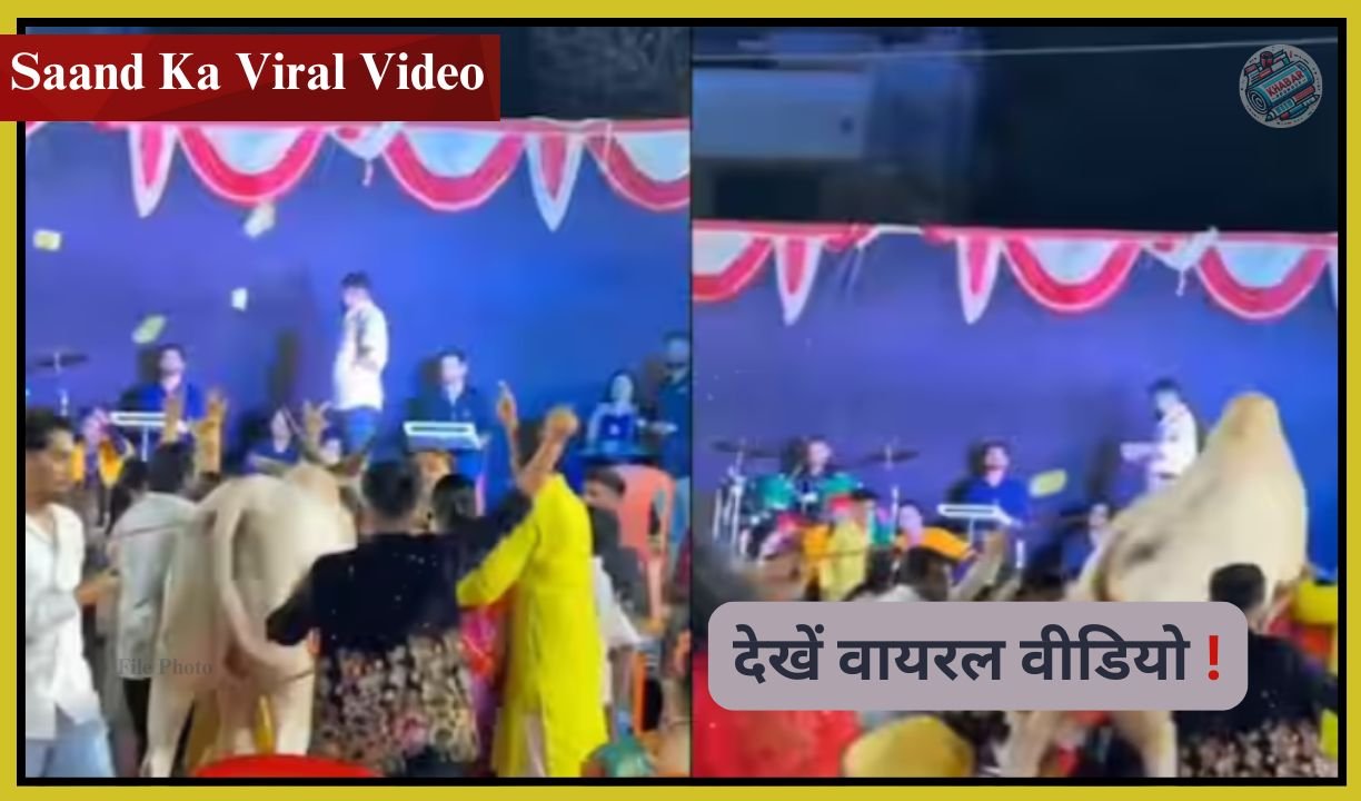 Saand Ka Viral Video : DJ पर सांड का कहर! डिस्को पार्टी में मचा तांडव, पहले देखा डांस फिर करने लगा ‘धमाका’
