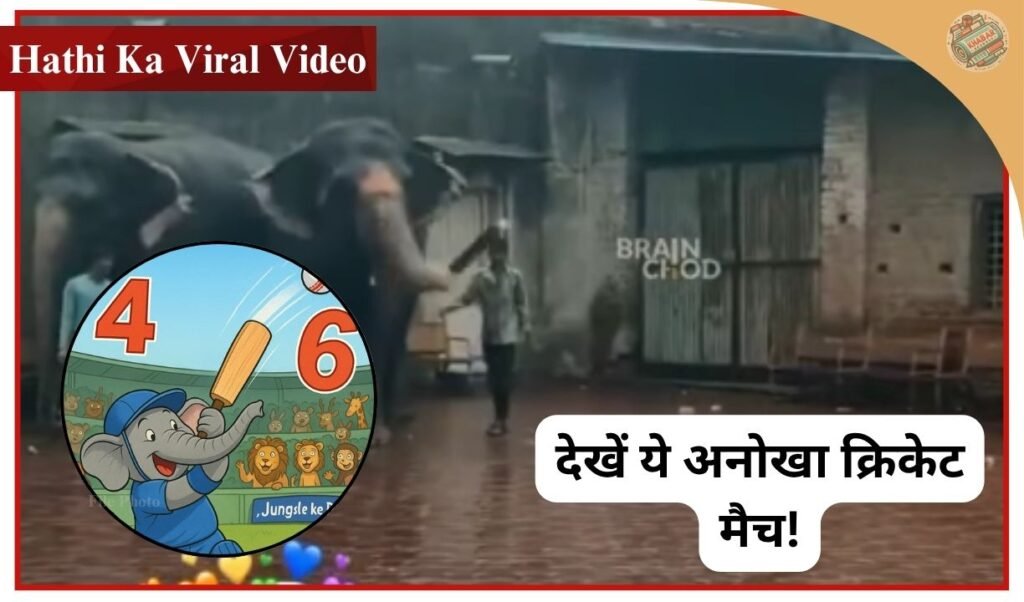 Hathi Ka Viral Video: When the elephant hit fours and sixes, everyone was surprised to see Dhoni's batting in the jungle.