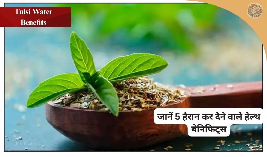 Drinking basil water every morning on an empty stomach improves digestion, increases immunity, detoxification and helps in weight loss. Know 5 big benefits of drinking basil water.