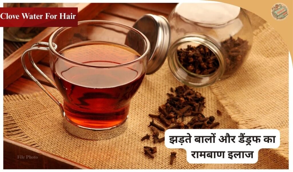 Clove water strengthens the hair roots, removes dandruff and increases hair growth. Know the benefits and uses of Clove Water for Hair Care